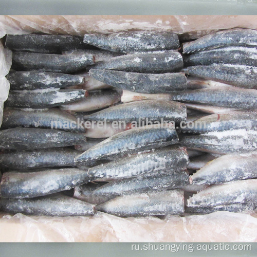 Высококачественная замороженная чистка Hgt Pacific Mackerel